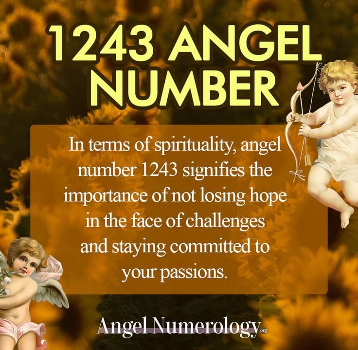 1131 angel number