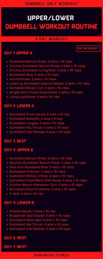 dumbbell workout plan PDF
