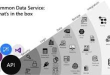 dxc power bi application support