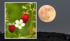 Strawberry Moon