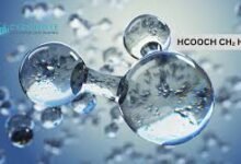 HCOOCH CH2 H2O